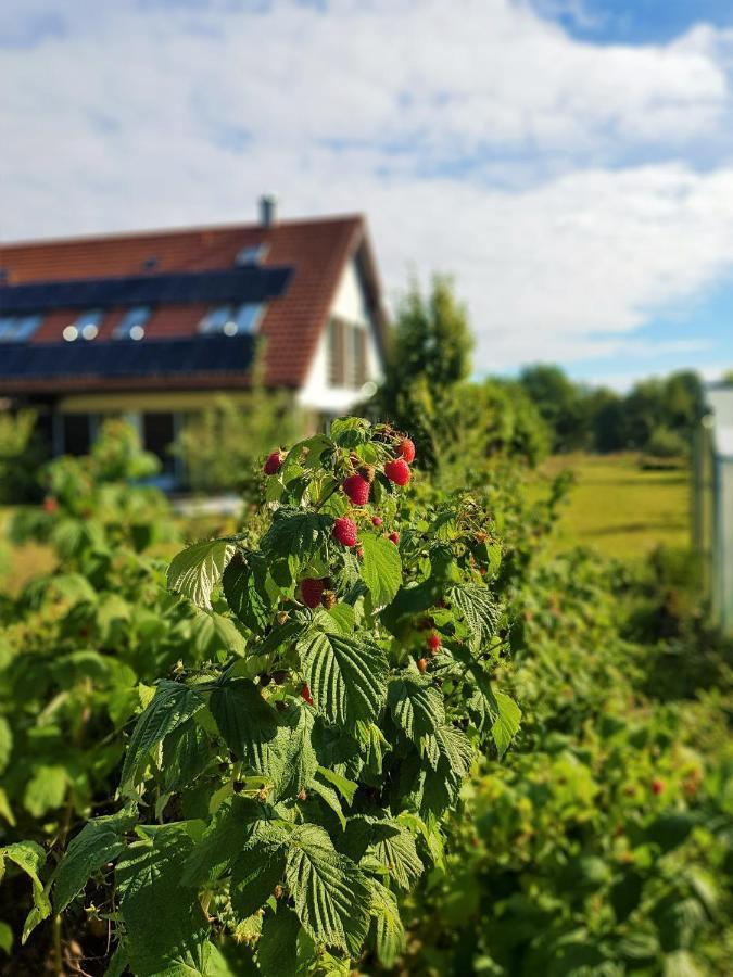 Siedlisko Gregorowo Apartman Ustka Kültér fotó